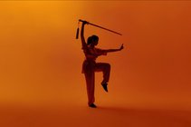 mas-antwerpen-expo-martial-arts-2026