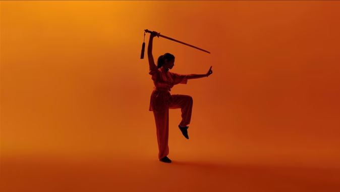 mas-antwerpen-expo-martial-arts-2026